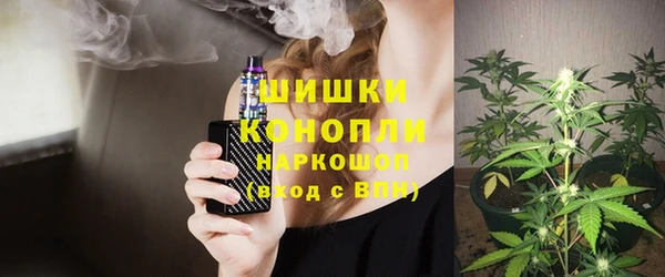мдпв Богородск