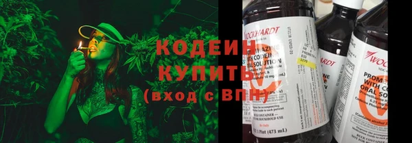 мдпв Богородск