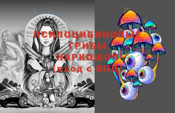 мдпв Богородск