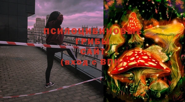 MDMA Богданович