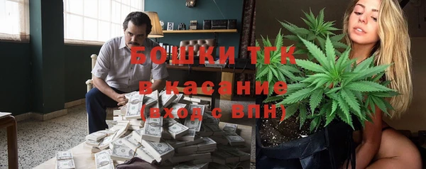 таблы Богородицк