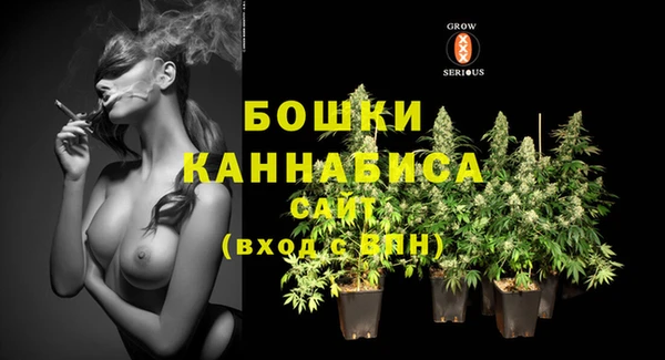 таблы Богородицк