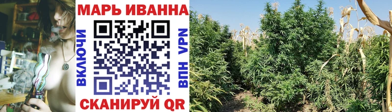 Купить закладки  Тайшет  Марихуана семена 
